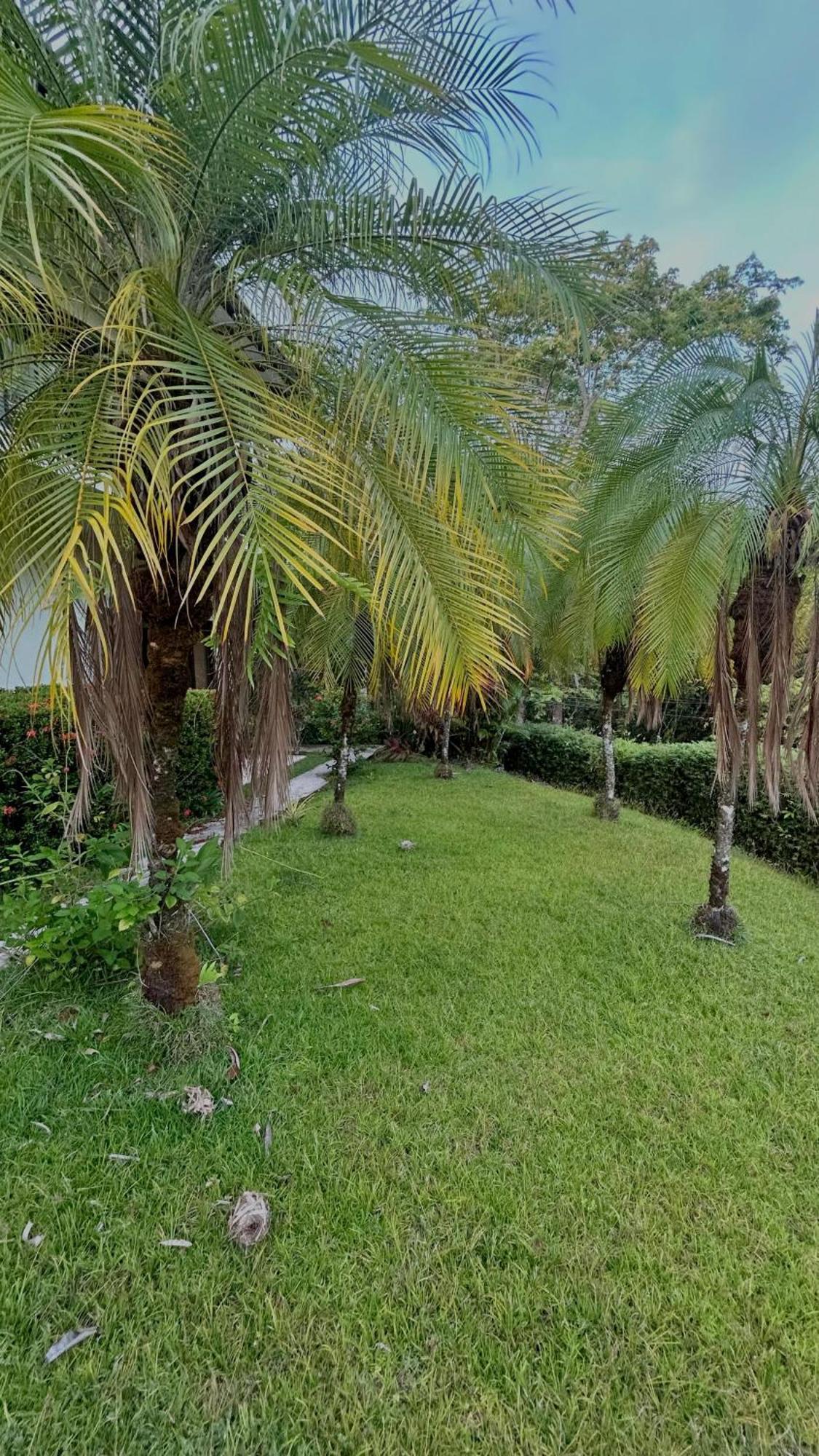 Villa Vista Mar Доминикал Екстериор снимка